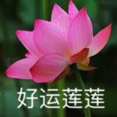 斗战英魂h5官方版下载